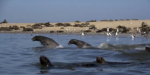 Aluguer de auto-caravanas Walvis Bay