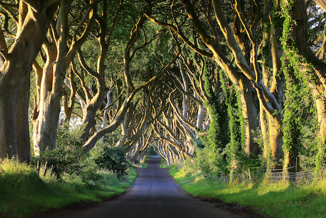 Road Trip pelos cenários de Game of Thrones dia 3: de Ballycastle a Londonderry