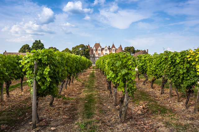 Road Trip Dordogne Valley, Dia 3: Degustação de vinho em Bergerac