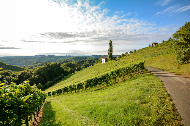 Road Trip pelo Vale do Rio Dordogne, Dia 4: Deliciosos vinhos em Bordéus