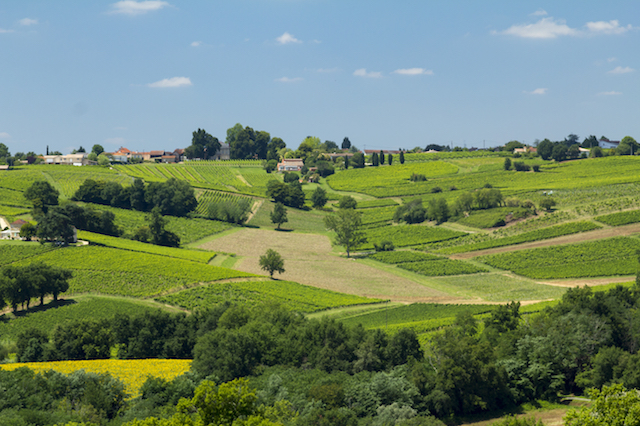 Road Trip pelo Vale do Rio Dordogne, Dia 4: Deliciosos vinhos em Bordéus
