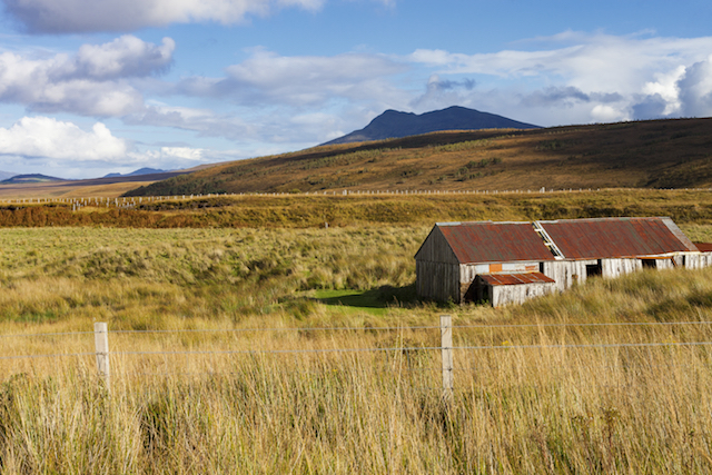 Road trip pelas Terras Altas Escocesas - Dia 3: West Knockbain e Muckernich Wood