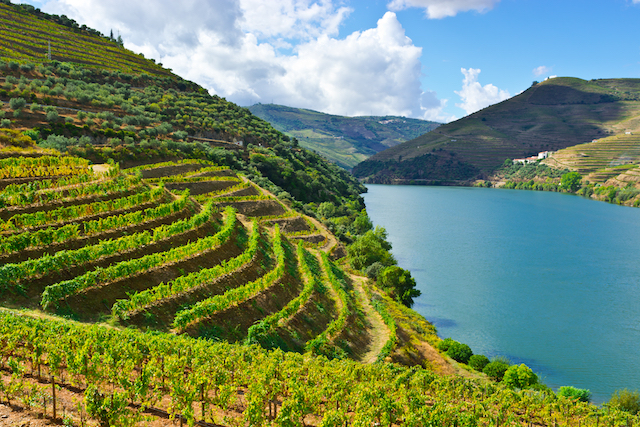 A Rota do Vinho em Portugal - Dia 1: Porto